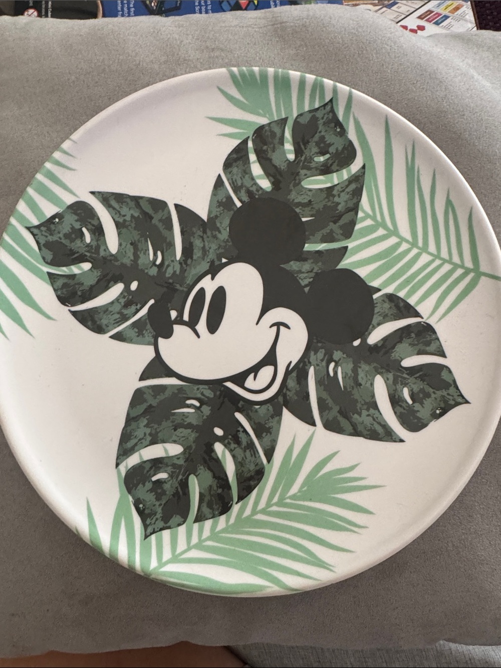 Set of 4 Mickey Mouse Melamine Plates NEVER USED